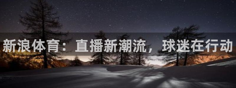 新浪体育：直播新潮流，球迷在行动