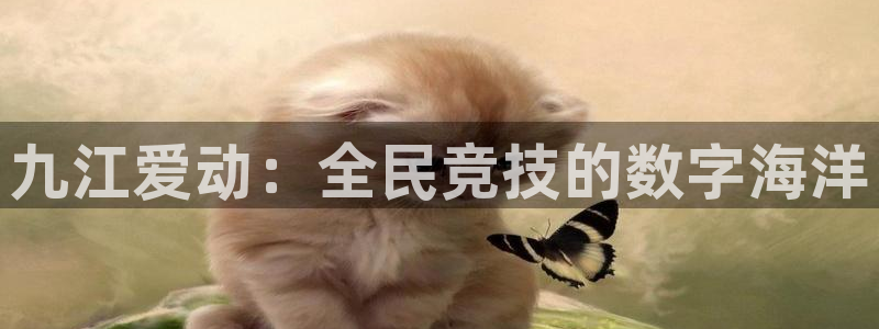 九江爱动：全民竞技的数字海洋