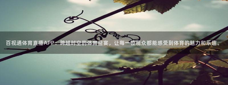 百视通体育直播APP：跨越时空的体育盛宴，让每一位观众都能感受到体育的魅力和乐趣。