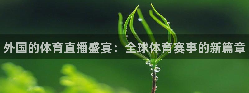 外国的体育直播盛宴：全球体育赛事的新篇章