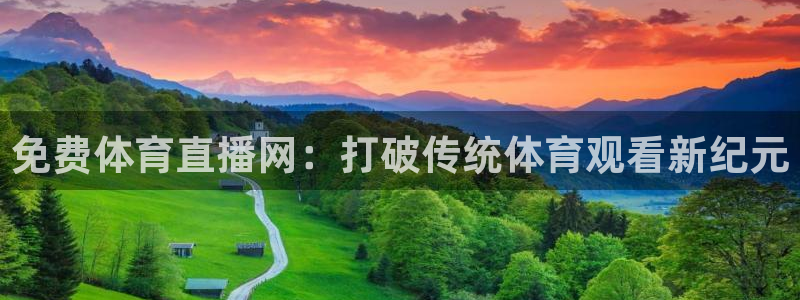 免费体育直播网：打破传统体育观看新纪元