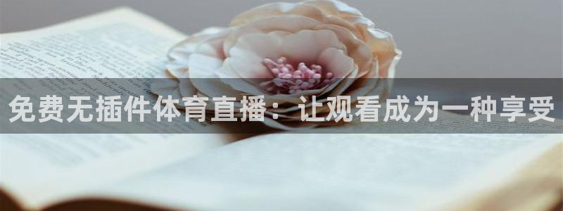 免费无插件体育直播：让观看成为一种享受