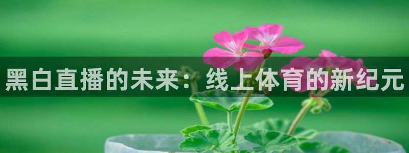 黑白直播的未来：线上体育的新纪元