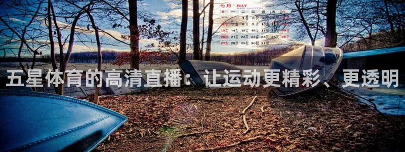 五星体育的高清直播：让运动更精彩、更透明