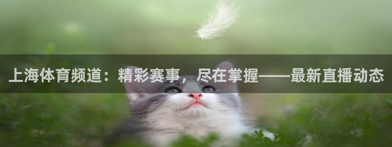 上海体育频道：精彩赛事，尽在掌握——最新直播动态